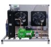 UC BITZER COMBAT+ LHC124/4TES-9Y 220V 3F 60HZ C/ QUADRO ELETRICO C/ SEPARADOR DE OLEO