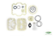 CONJ. GUARNICAO BITZER 4TFC (MABPR001801)