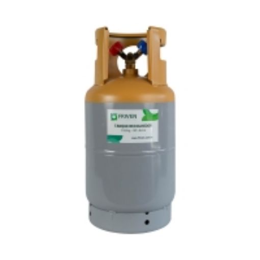 TANQUE RECOLHIMENTO DE GAS  13,6 KG 30LBS - 20003.0400.55