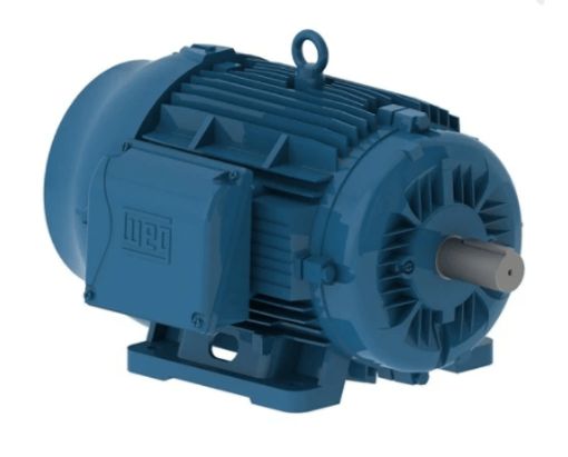 MOTOR 1/15CV 6P L100LWFF2 3F WEG - 113389712