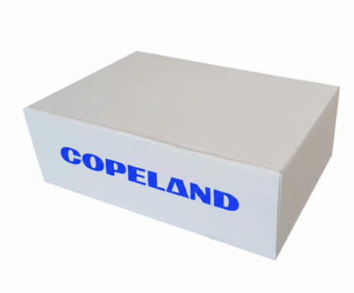 Imagem de GUARNICAO PLACA VALVULA (DIGITAL) 20145003 COPELAND